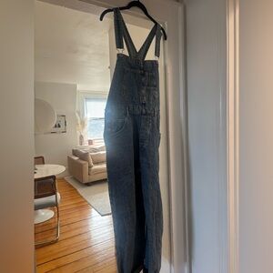 We The Free Ziggy Denim Overalls